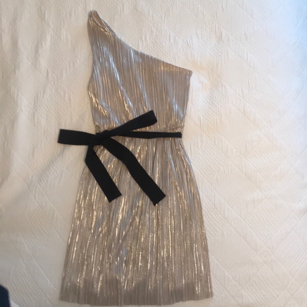 Express One Shoulder Metallic Dress
